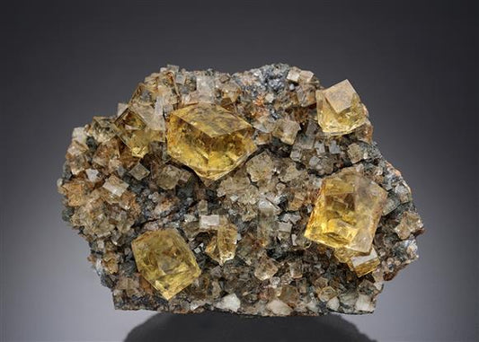 CC21832 specimen image