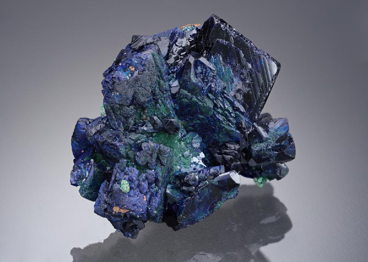 CC21833 specimen image