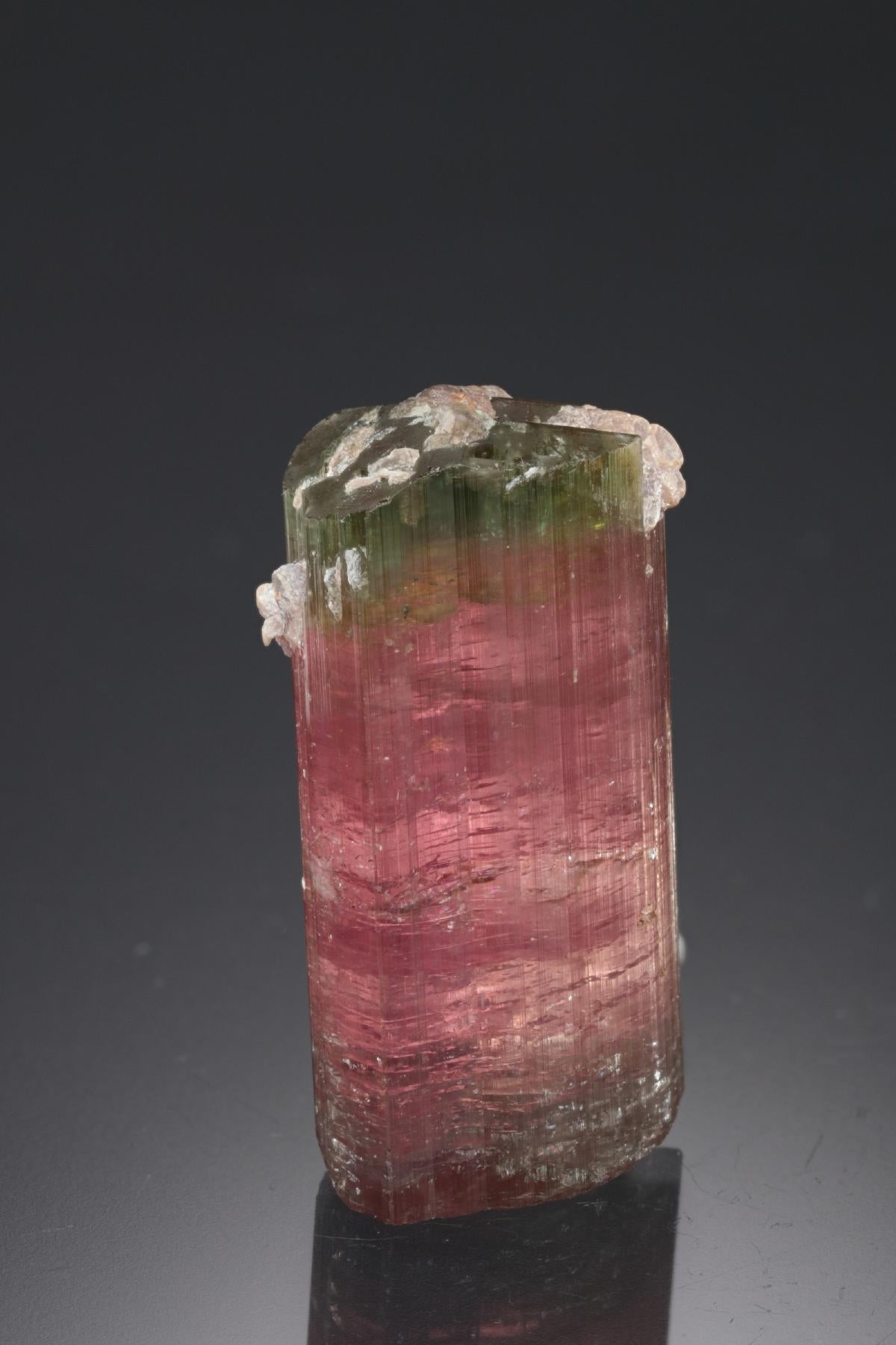 CC21839 specimen image