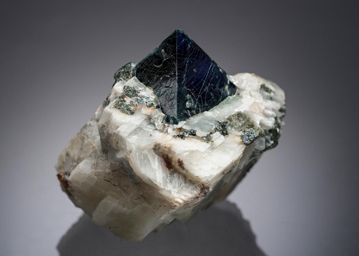 CC21842 specimen image