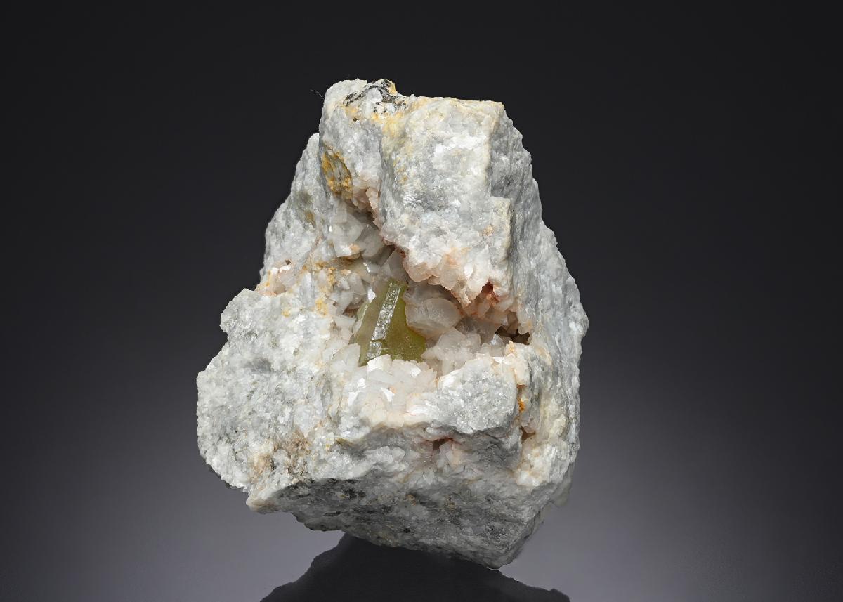 CC21852 specimen image