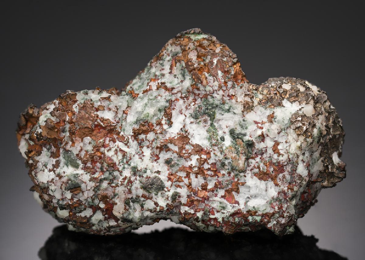 CC21856 specimen image