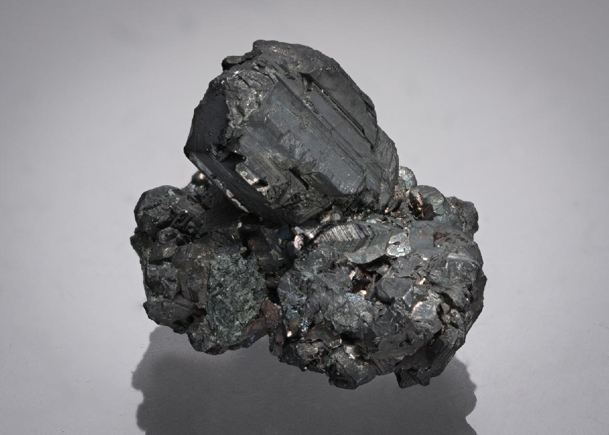 CC21859 specimen image