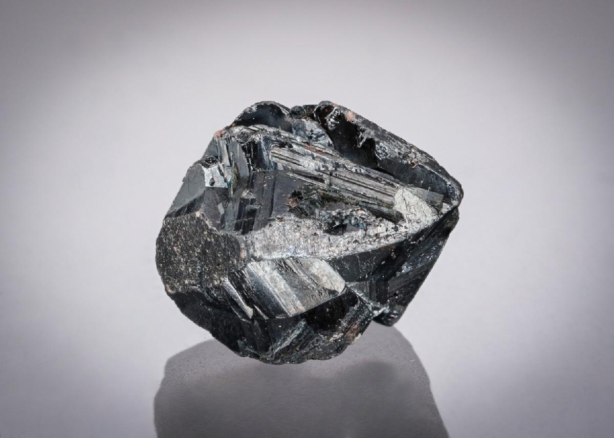 CC21860 specimen image