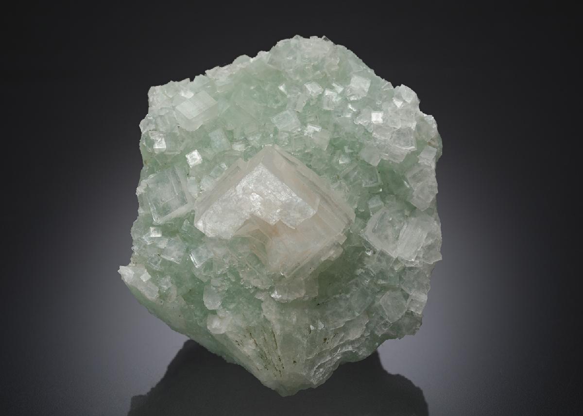 CC21879 specimen image