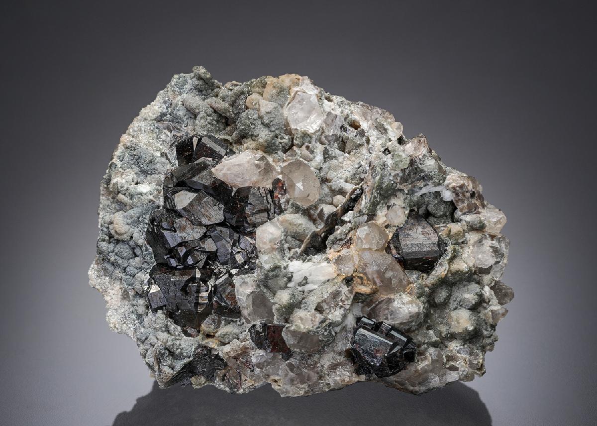 CC21880 specimen image