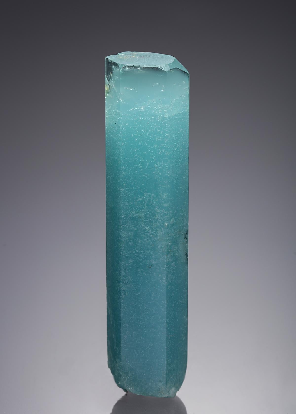 CC21881 specimen image