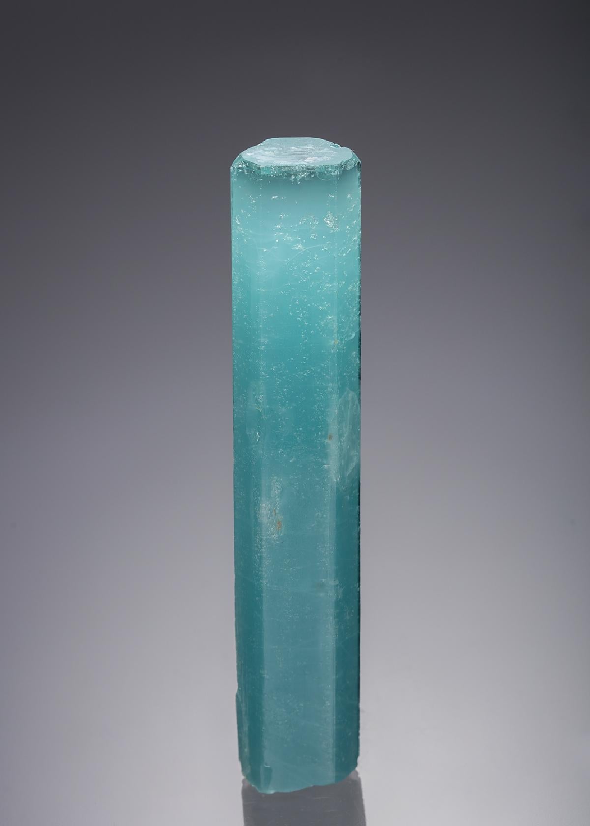 CC21882 specimen image