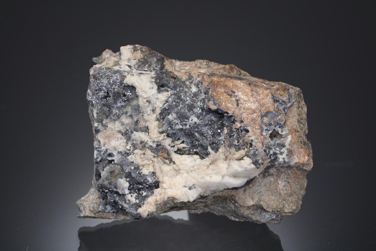CC21886 specimen image