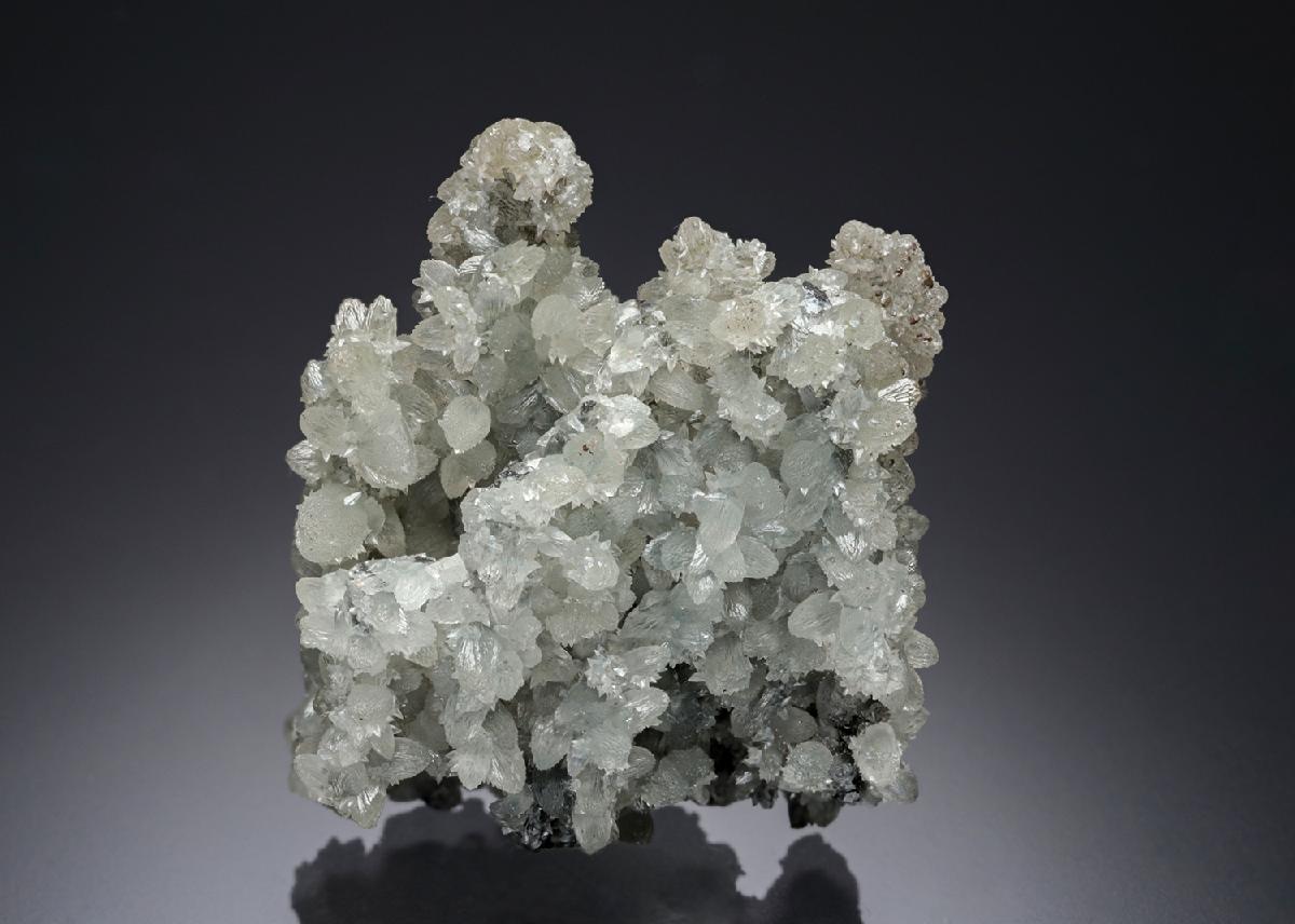 CC21889 specimen image