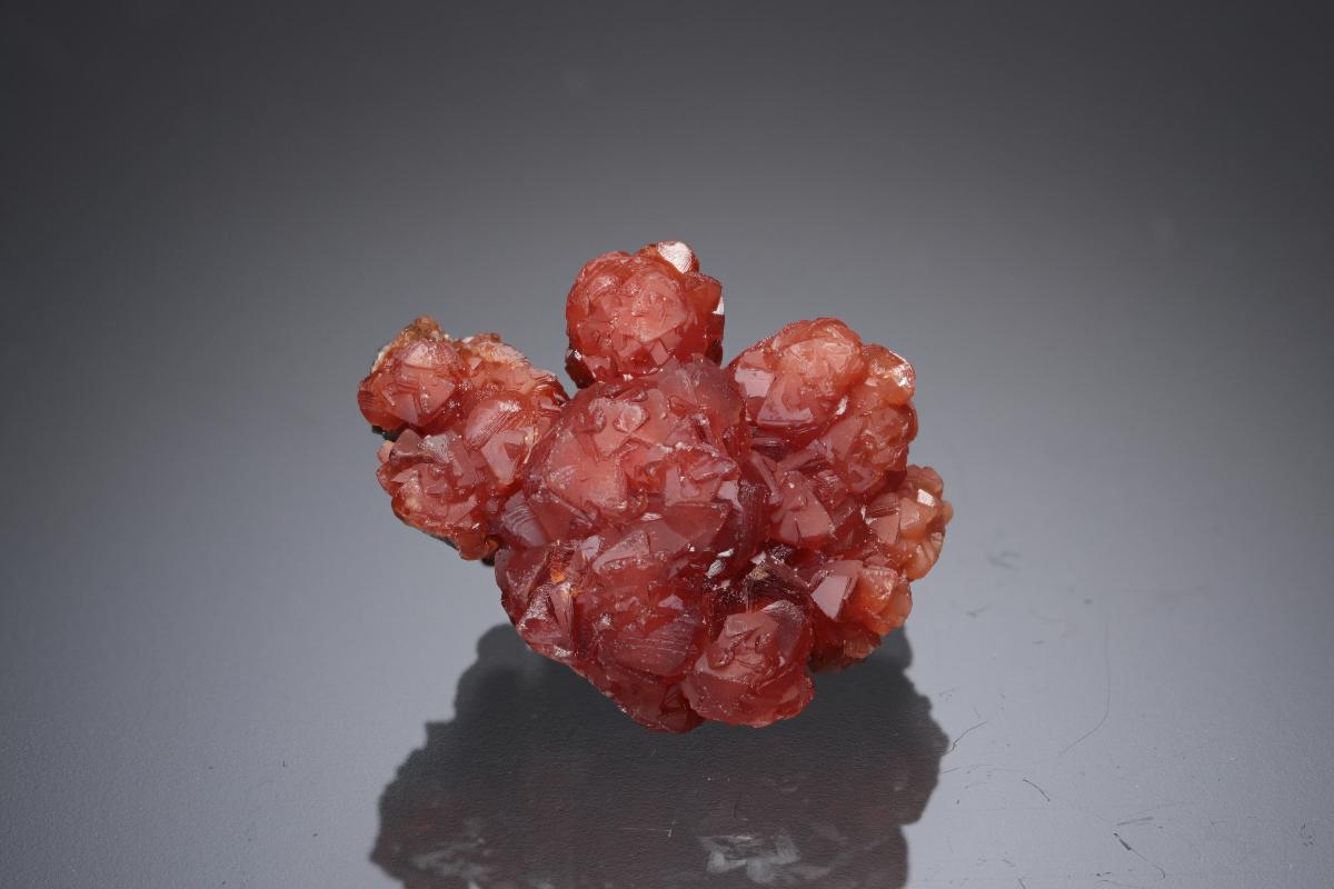 CC21895 specimen image