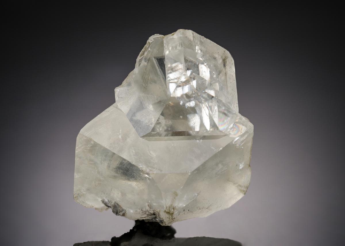 CC21900 specimen image