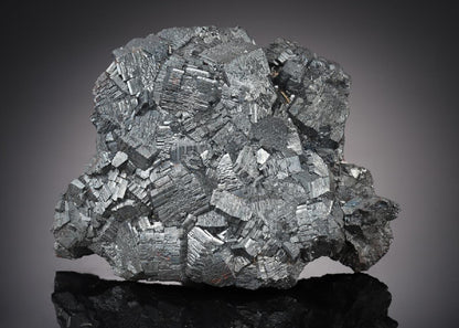 CC21904 specimen image