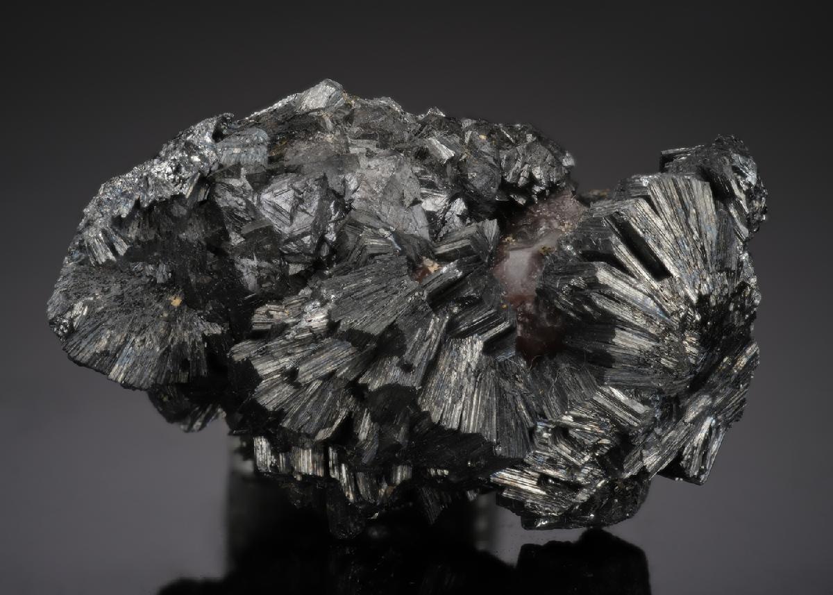 CC21905 specimen image