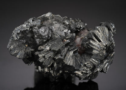 CC21905 specimen image