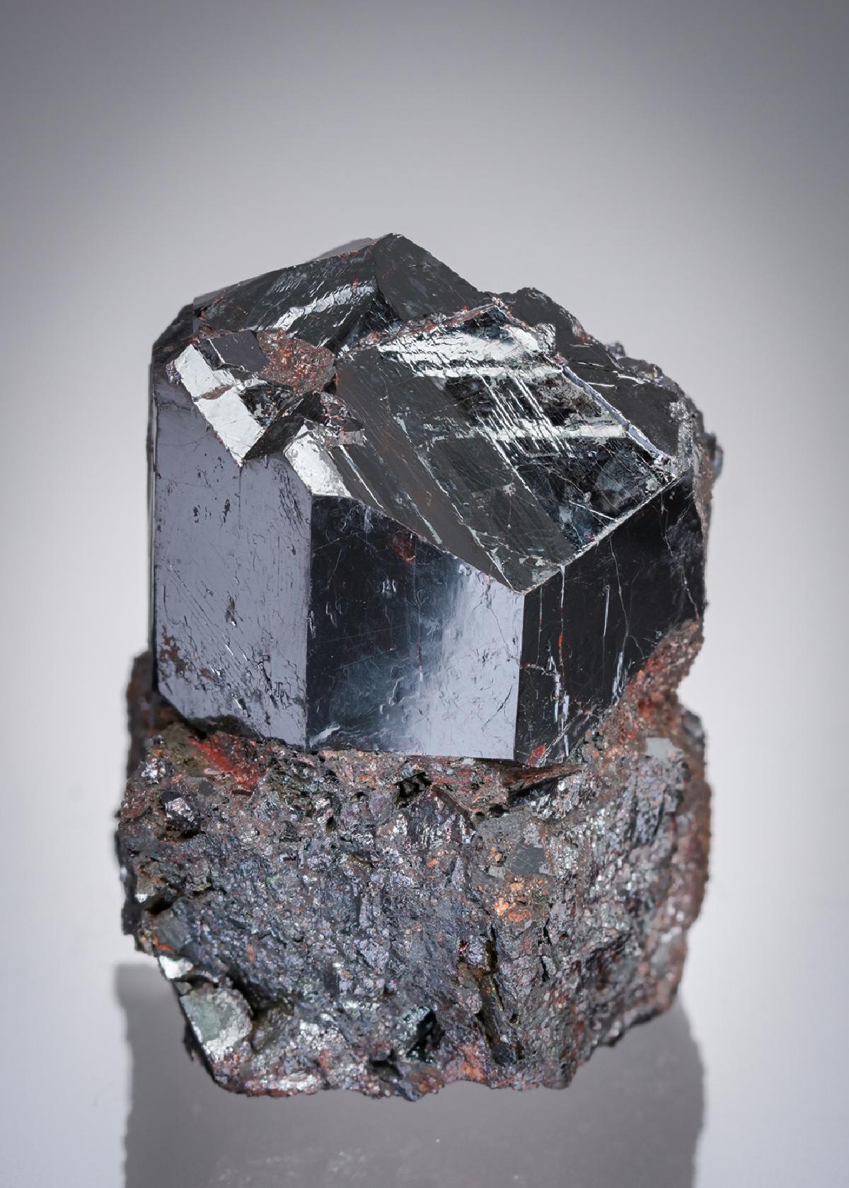 CC21912 specimen image