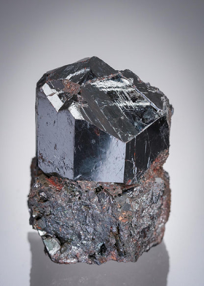 CC21912 specimen image