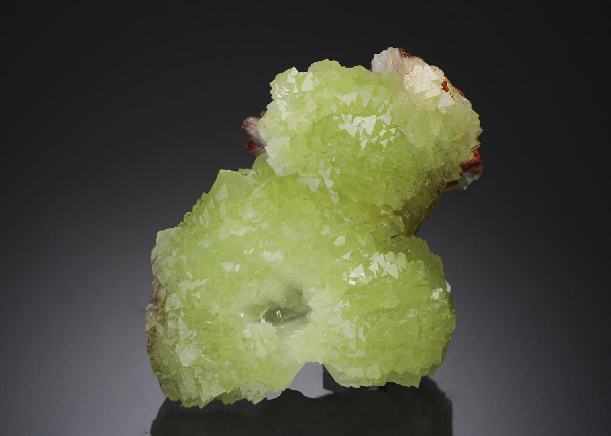 CC21917 specimen image