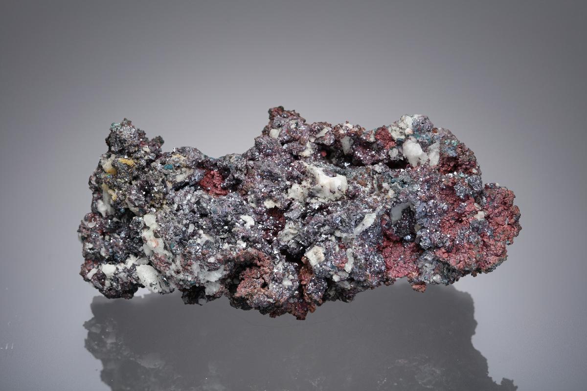 CC21926 specimen image