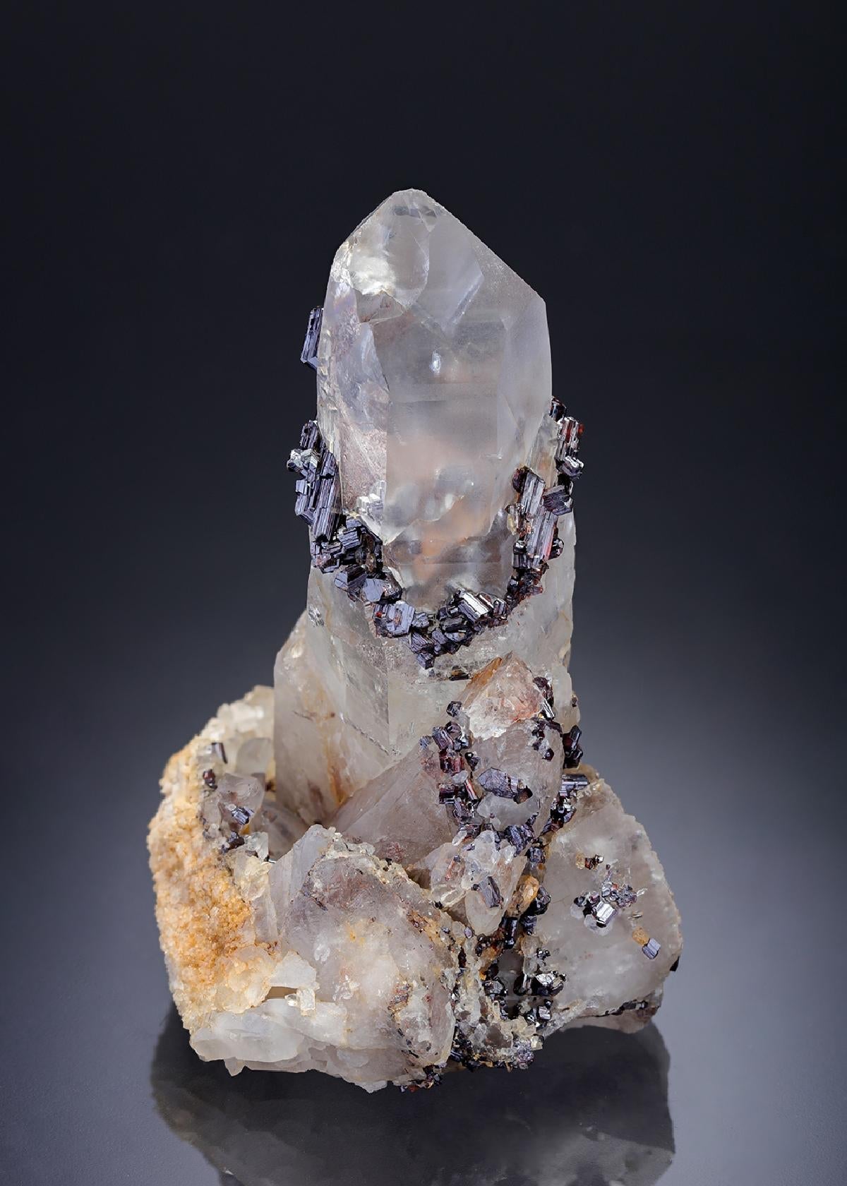 CC21933 specimen image