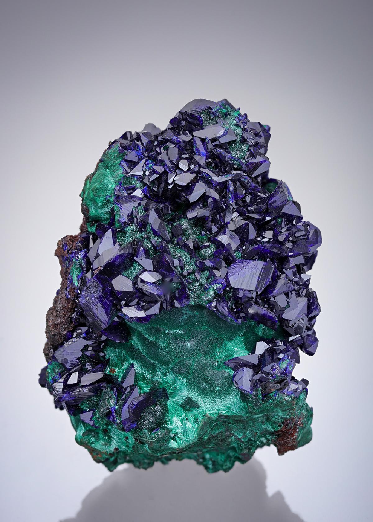 CC21936 specimen image