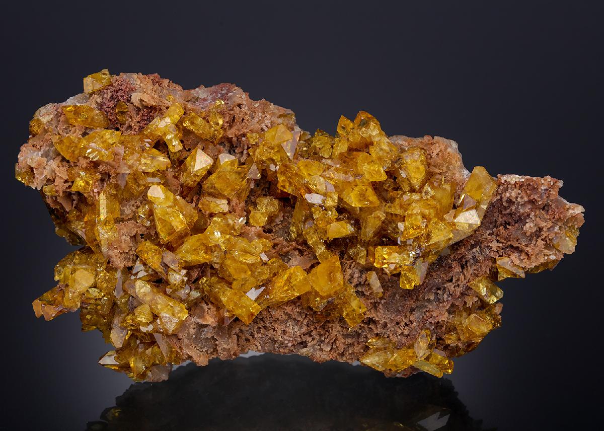 CC21938 specimen image