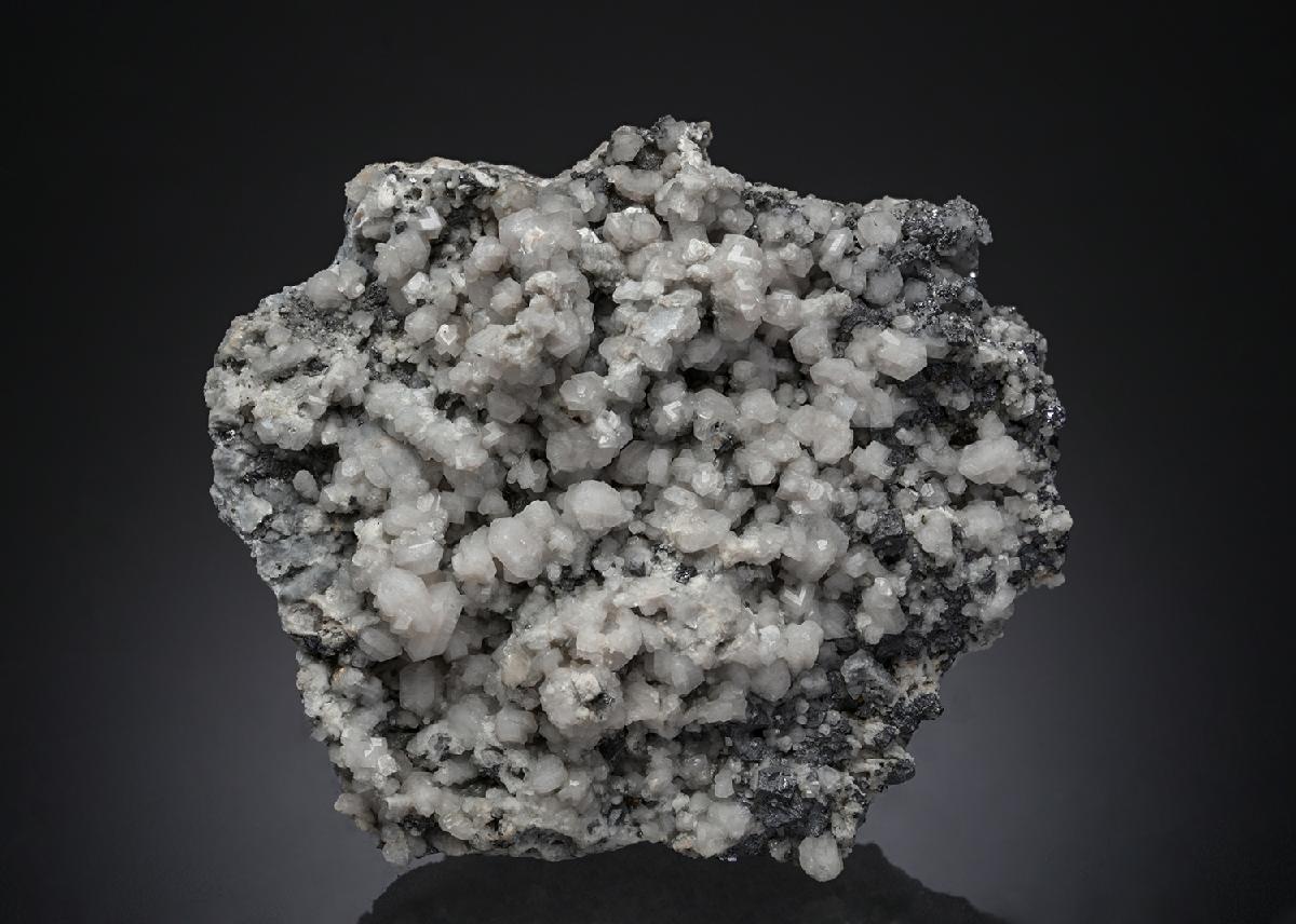 CC21943 specimen image