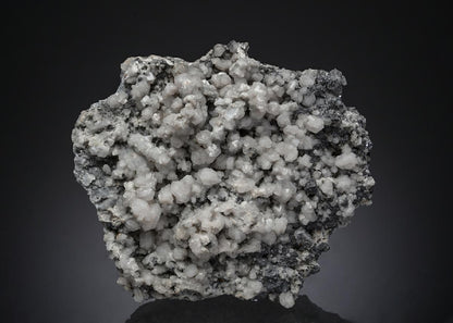 CC21943 specimen image