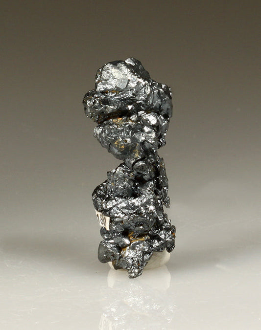 CC2198 specimen image