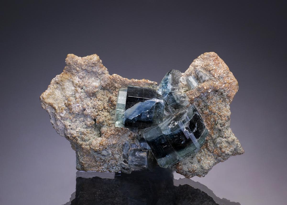 CC2202 specimen image