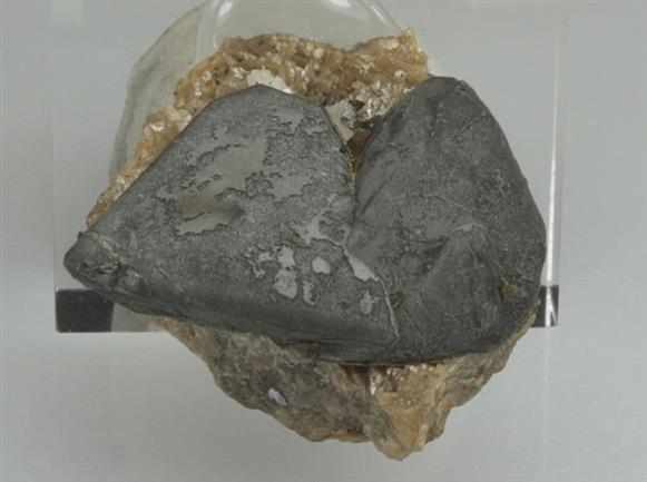 CC2204 specimen image