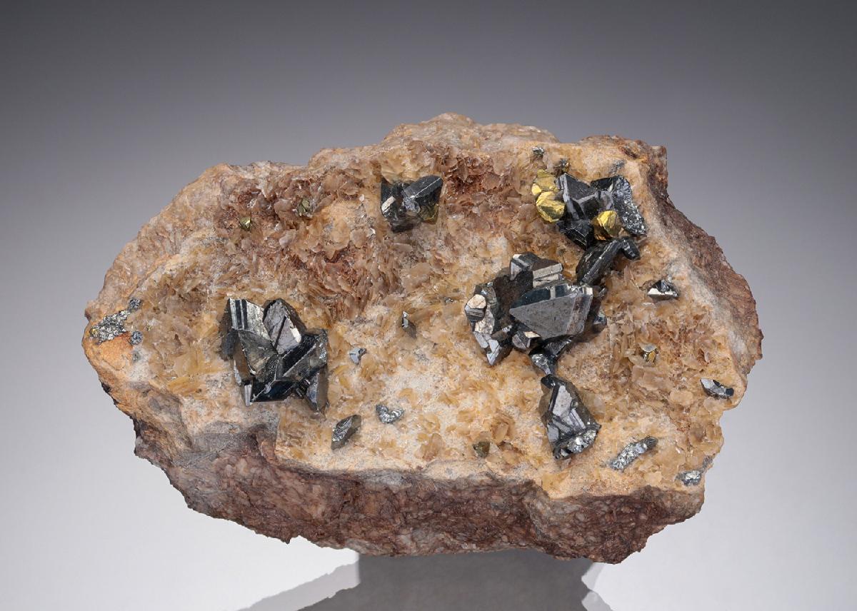 CC2206 specimen image