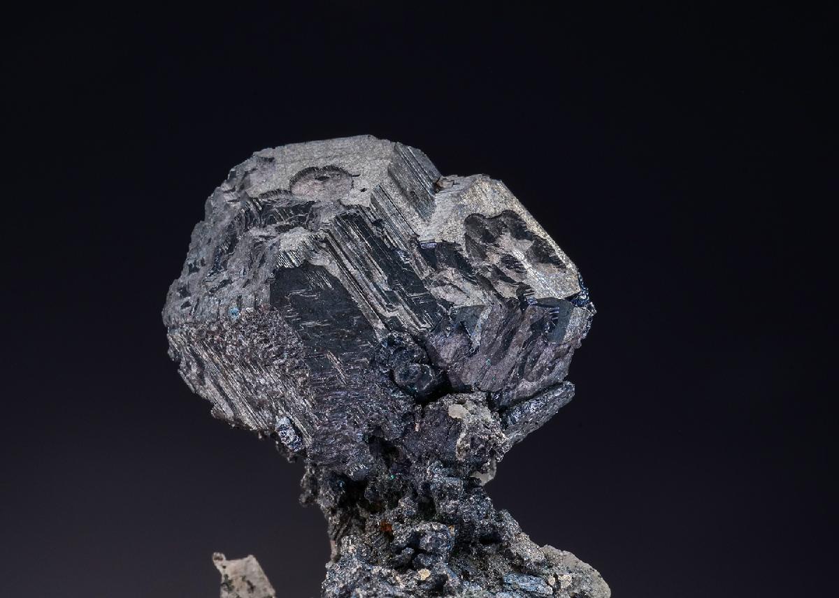 CC2207 specimen image