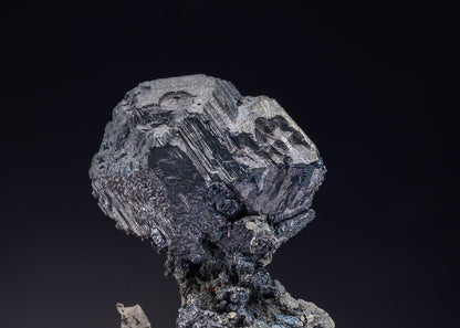 CC2207 specimen image
