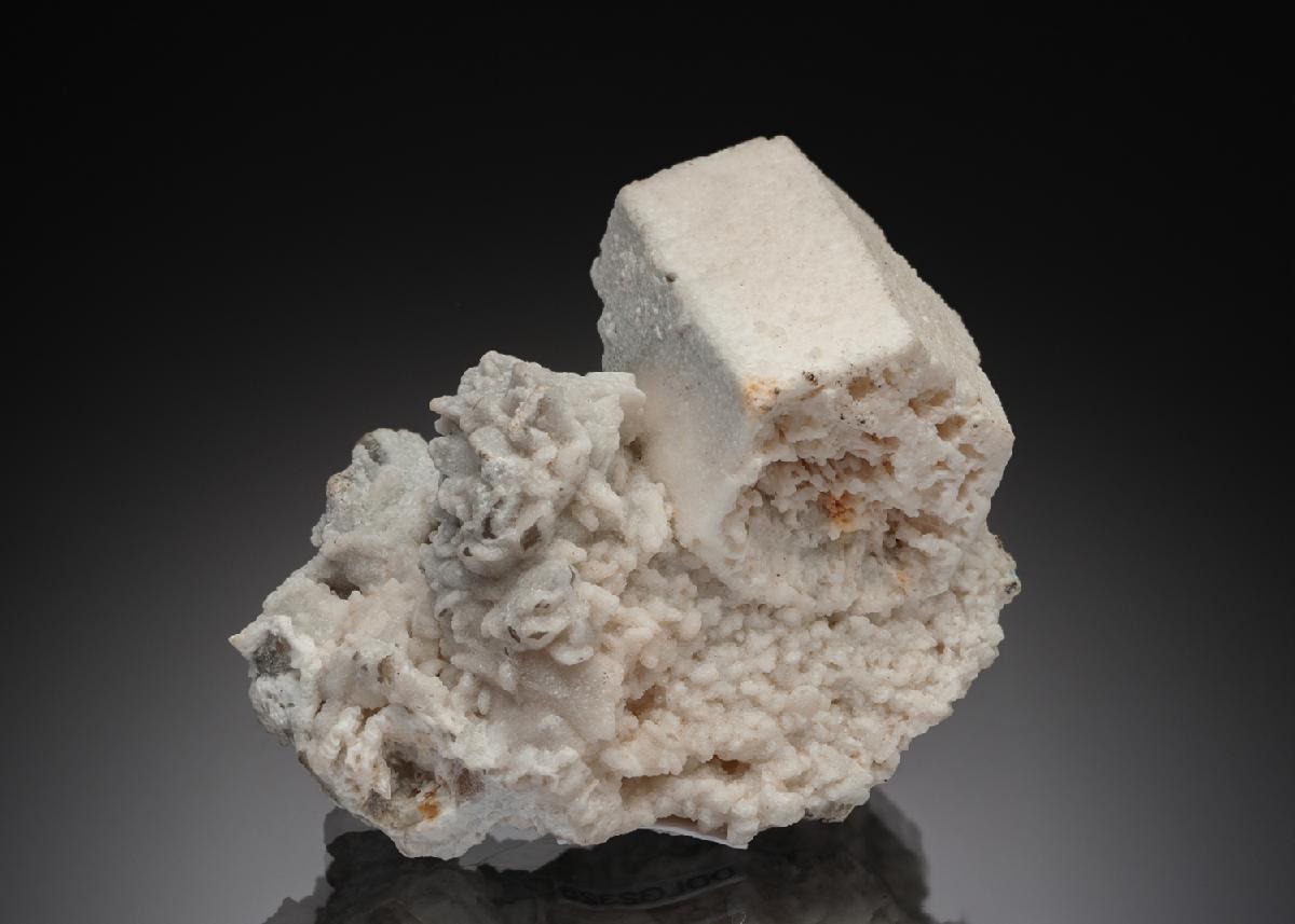 CC2208 specimen image