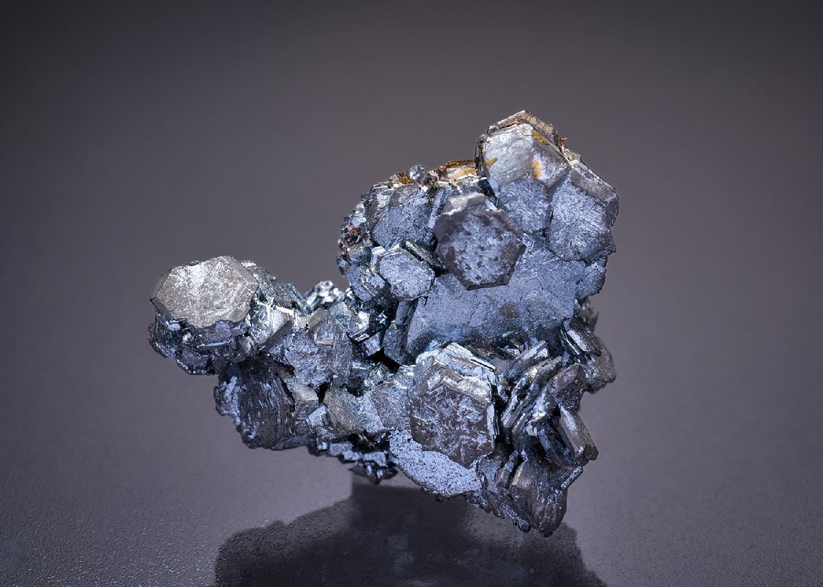 CC2219 specimen image