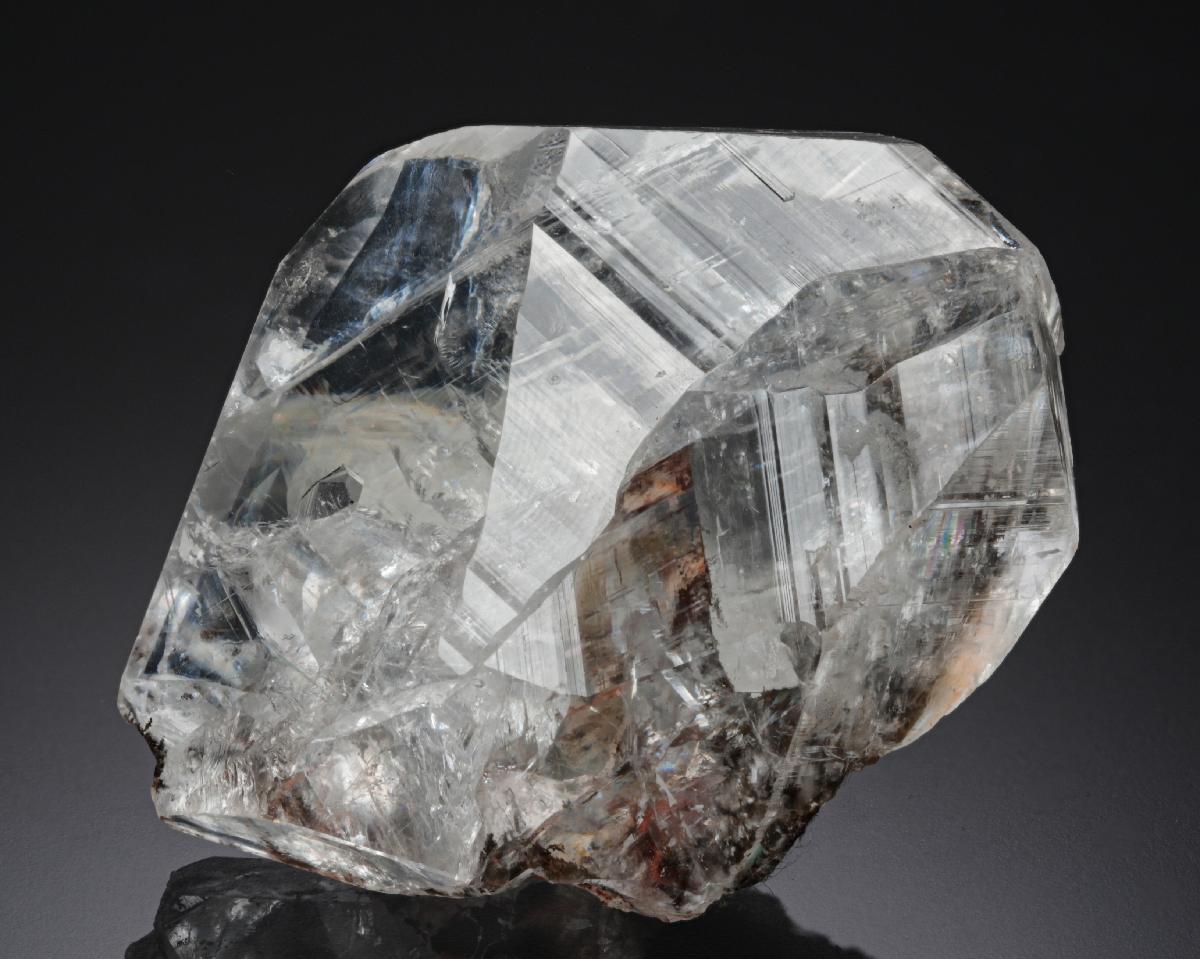 CC2229 specimen image