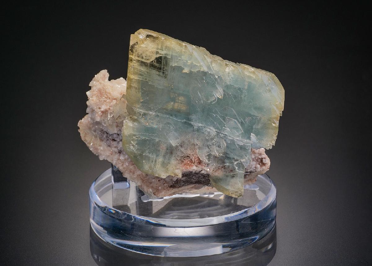 CC22298 specimen image