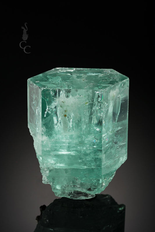 CC22306 specimen image