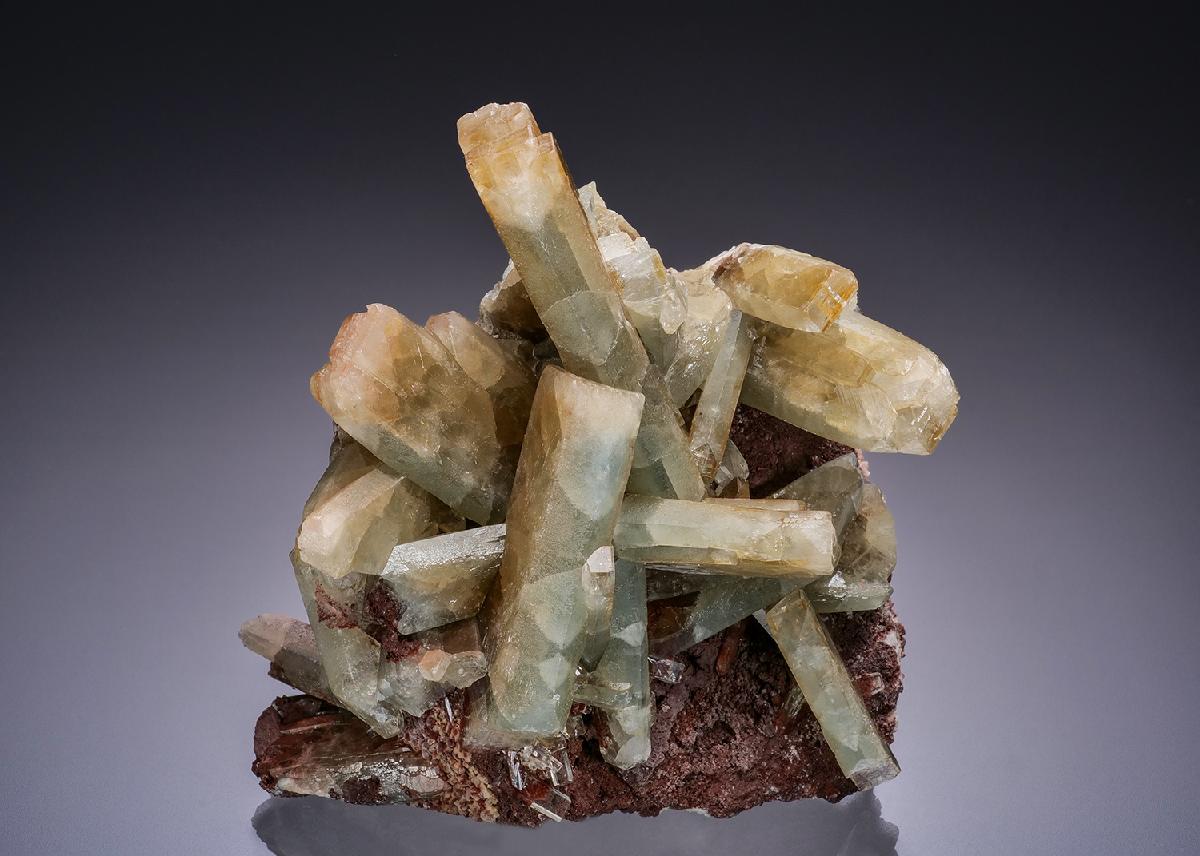 CC22342 specimen image