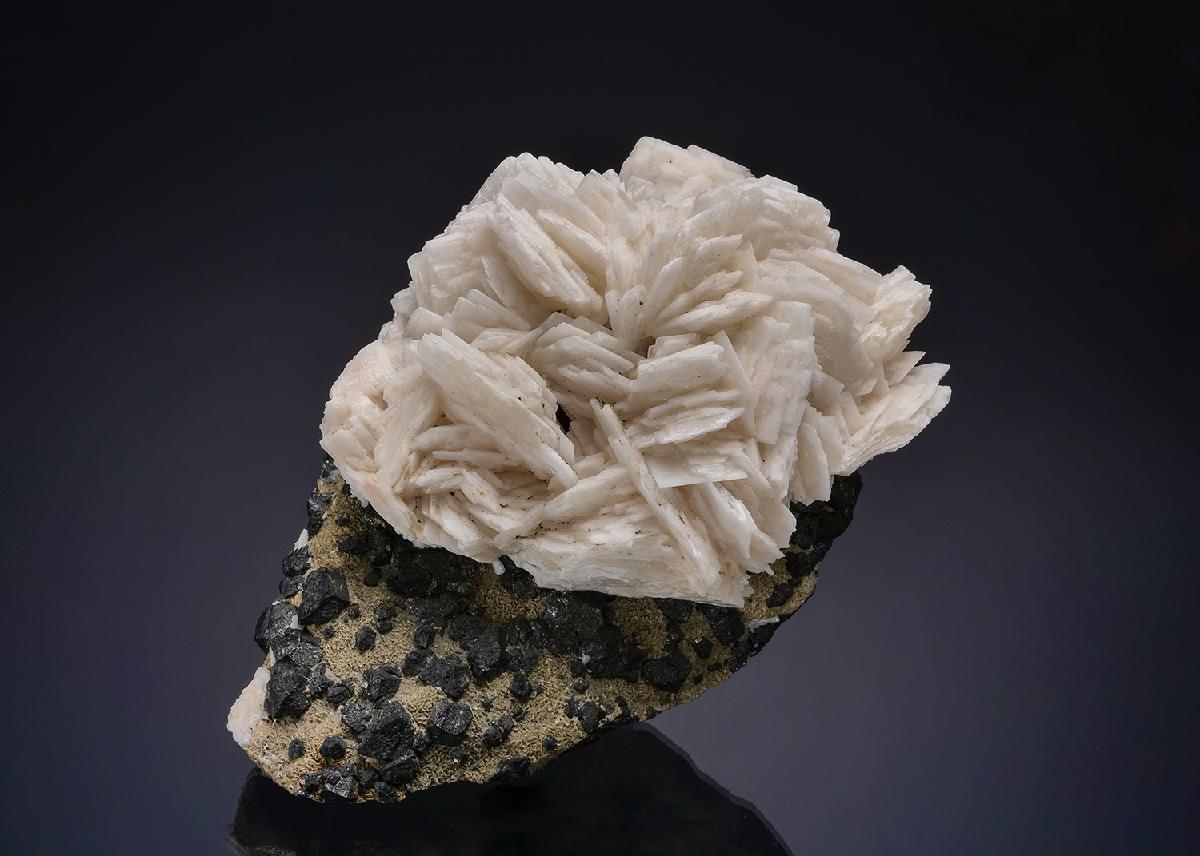 CC22414 specimen image