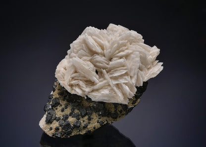 CC22414 specimen image