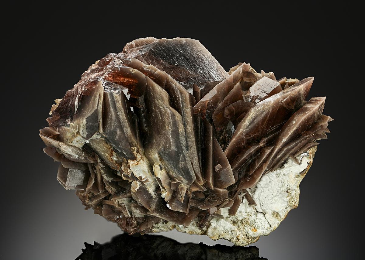 CC22496 specimen image