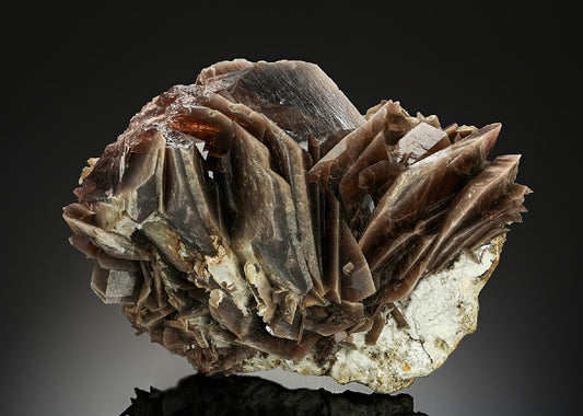 CC22496 specimen image