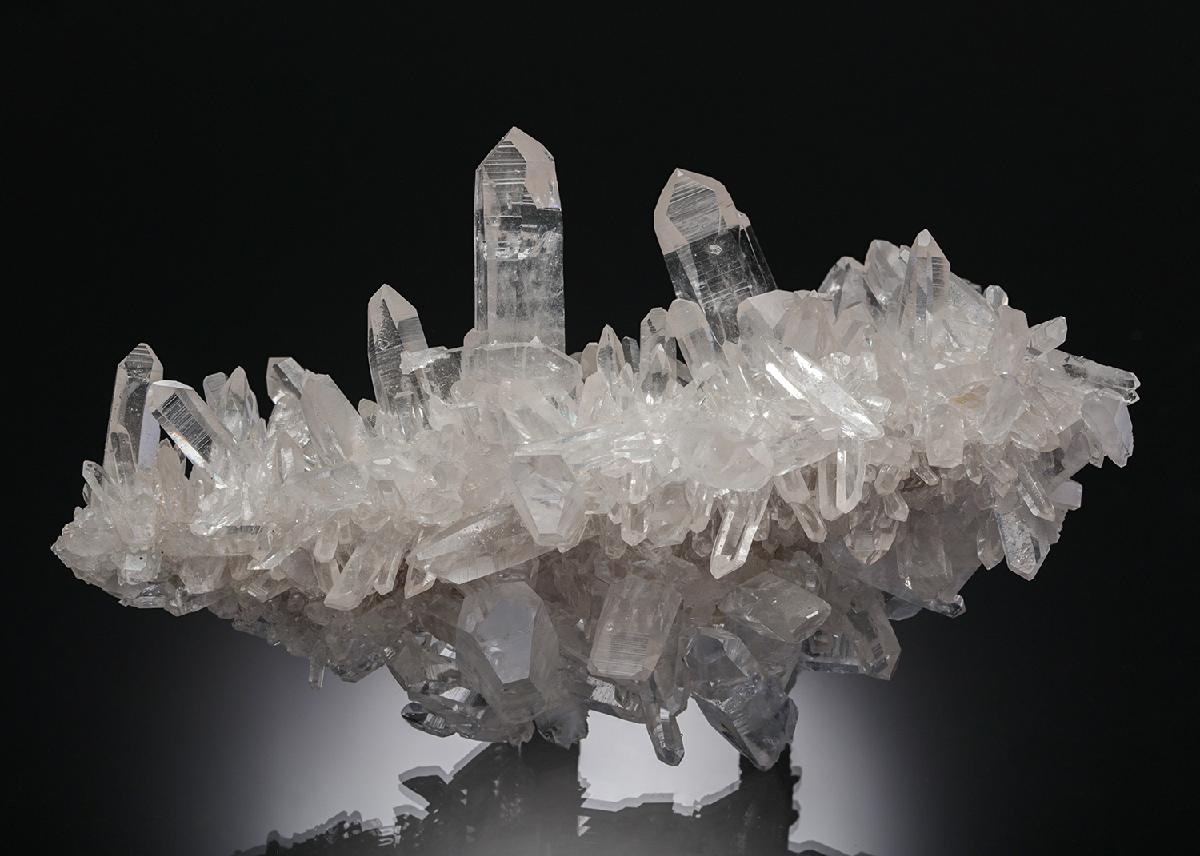 CC22505 specimen image
