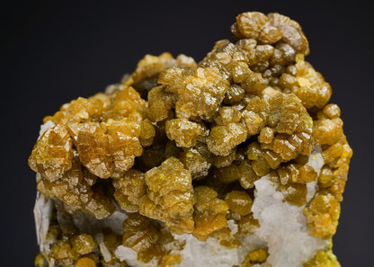 CC2254 specimen image