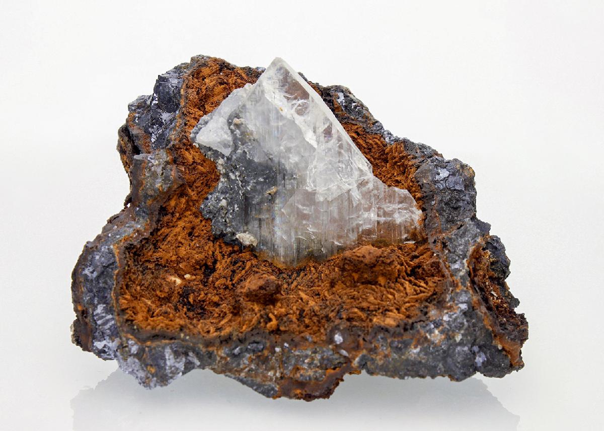 CC22768 specimen image
