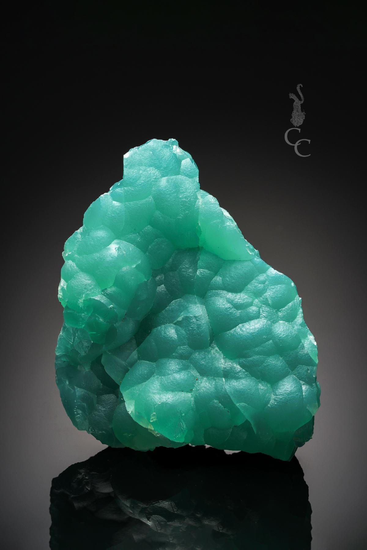 CC22817 specimen image
