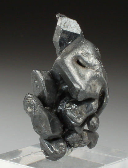 CC2292 specimen image