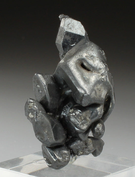 CC2292 specimen image